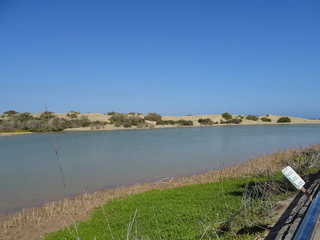 Lagune la Charca