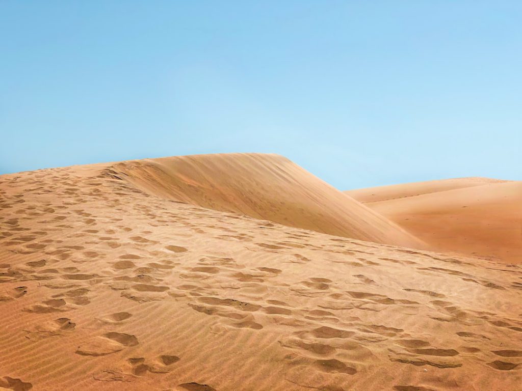 In den Dünen von Maspalomas