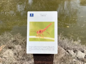 Infotafeln im Park teilweise mit QR-Code
